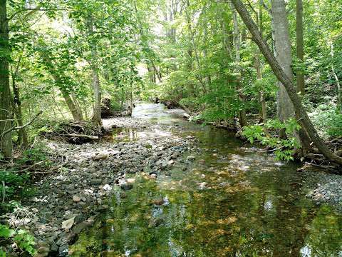 Six Mile Brook Trail